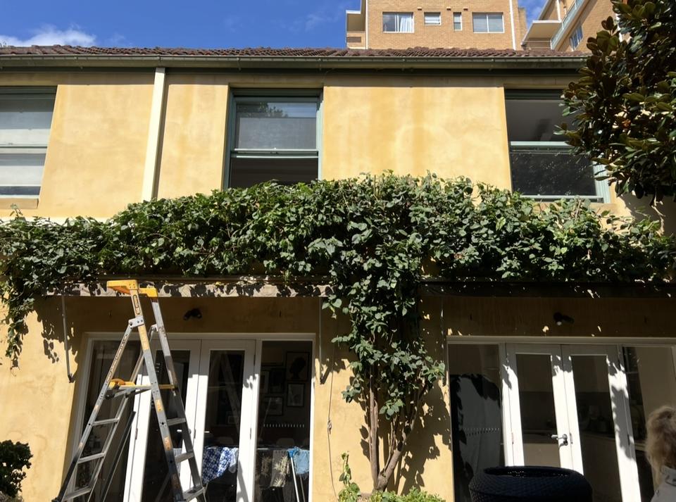 The same home with the vine pruned back to the pergola and the windows clear